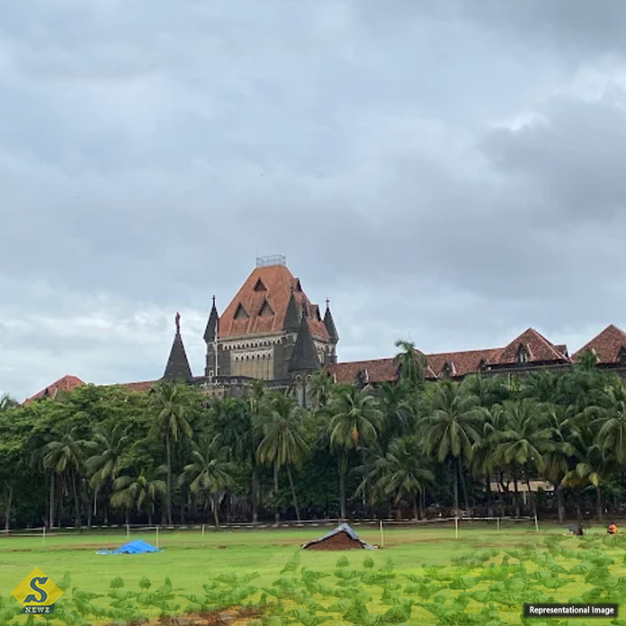 পায়রাদের খাওয়ানো নিয়ে বিশেষজ্ঞ কমিটি গঠন মুম্বই হাইকোর্টের