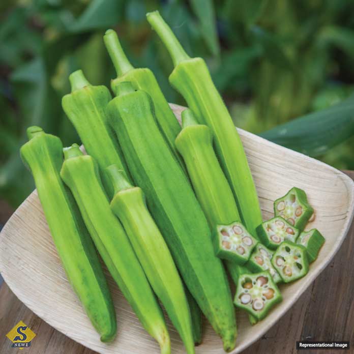Eating-okra-helps-control-diabetes