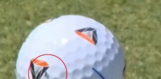 ইংলিশ গলফারকে কোটি টাকা জেতাল মাছি
