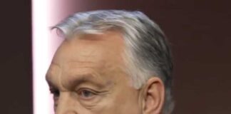 ইউক্রেন যুদ্ধে রাশিয়া জিতেছে : হাঙ্গেরি