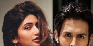 কার্তিক-শ্রীলীলা সত্যিই প্রেম করছেন?