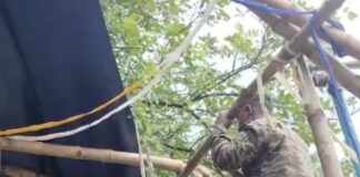 মঞ্চ ভাঙল সেনা, যৌক্তিকতা নিয়ে প্রশ্ন মুখ্যমন্ত্রীর