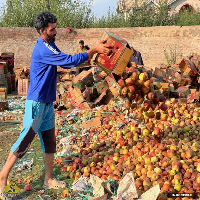 Kashmir-Apple