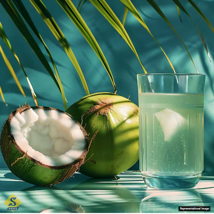 ডাবের জল পান করার আগে সতর্কতা