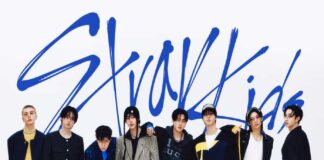 নতুন ইতিহাস গড়ল স্ট্রে কিডস