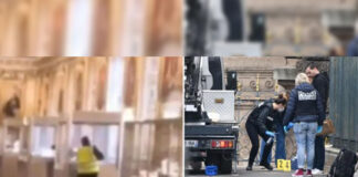 লুভের মিউজিয়ামে ডাকাতির ঘটনায় গ্রেফতার ২