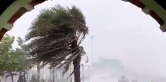 ল্যান্ডফল ‘মান্থা’-র, তাণ্ডব