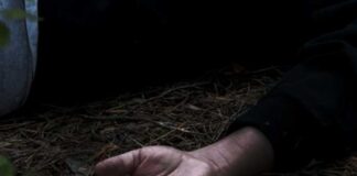 কার্শিয়াংয়ে খাদে পড়ল গাড়ি, নিহত অন্তত ৩