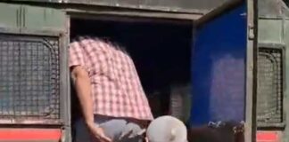 করাতে গলা কেটে মৃত্যু শিশুশ্রমিকের! ধৃত ২