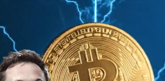 বিটকয়েন নিয়ে ইলন মাস্কের মত বদল