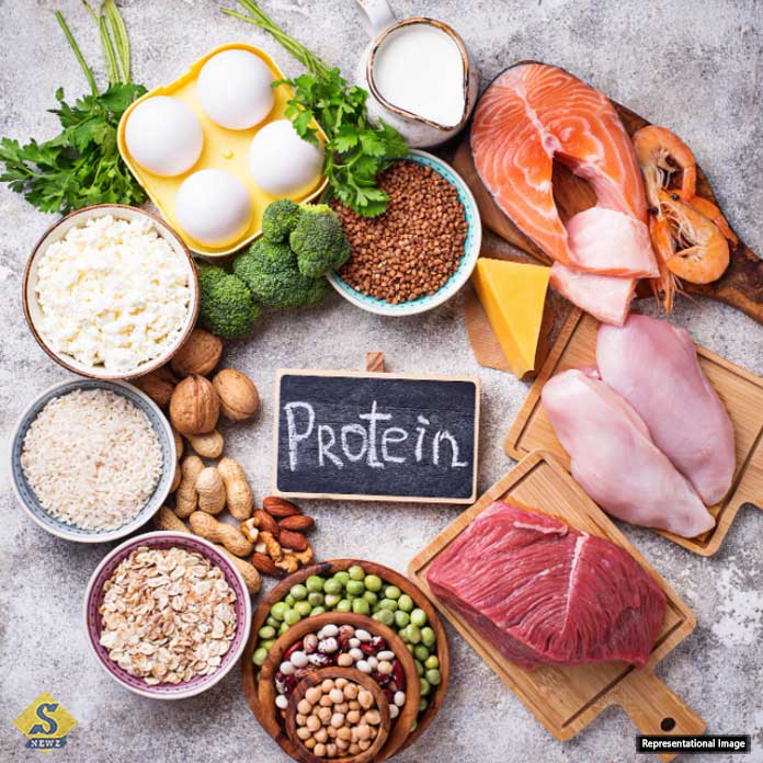 How-much-protein-should-you-have-in-your-diet