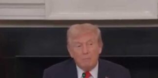 শান্তিপ্রস্তাবের প্রাথমিক শর্তে রাজি ইজরায়েল, হামাস