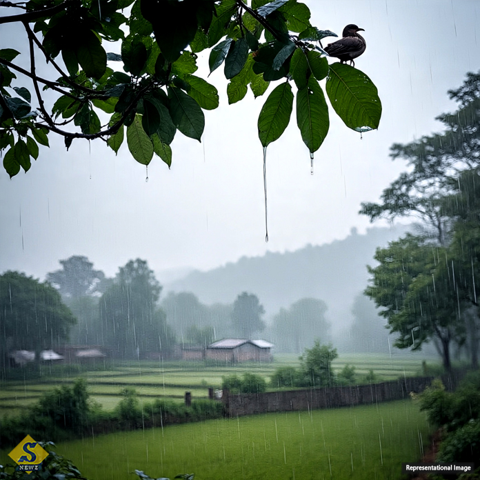 Mild-winter-weather,-rain-likely