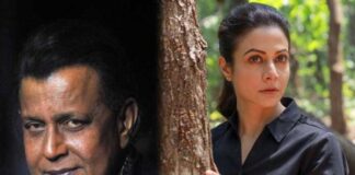 বড়দিনে বড়পর্দায় মিঠুন-কোয়েলরা
