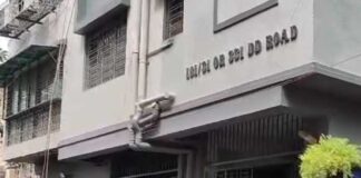 দক্ষিণ দমদম পুরসভার ভাইস চেয়ারম্যান, অডিটরের বাড়িতেও ইডি