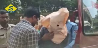দুর্গাপুরকাণ্ডে গ্রেফতার নির্যাতিতার সহপাঠী