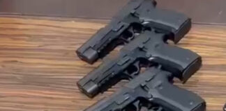 দিল্লিতে গ্রেফতার ৪ অস্ত্র পাচারকারী