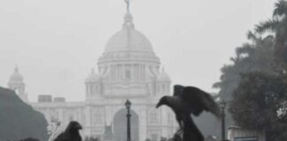 বাতাসে শিরশিরানি ভাব, তবে এখনই শীত নয়