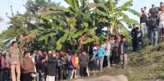 ধূপগুড়িতে ট্রেনের ধাক্কায় হাতির মৃত্যু