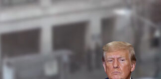 বন্দুকধারী আফগানিস্তানের নাগরিক, দেশে ঢোকা বন্ধ