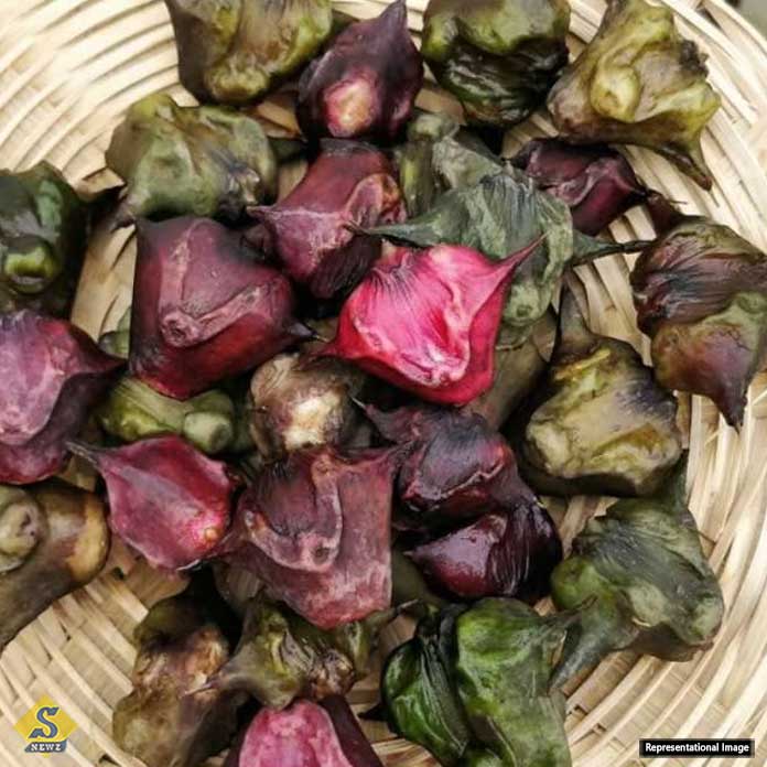 পানিফলের স্বাস্থ্য উপকারিতা
