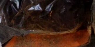 বহরমপুরে উদ্ধার বিপুল বিস্ফোরক! পলাতক অভিযুক্তরা