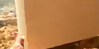 কৃষক, খনিকর্মীর পরিচয়ে নুহ থেকে বোমার মশলা কেনে জঙ্গিরা