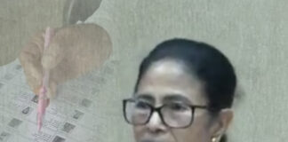 এসআইআর স্টে হওয়া উচিত : মুখ্যমন্ত্রী