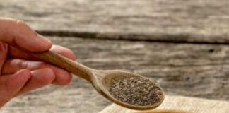 বয়স্কদের খাদ্যতালিকায় তিল জরুরি