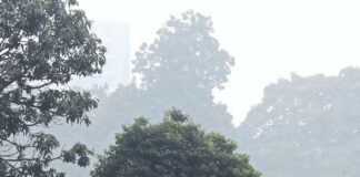 ২০ ডিগ্রির নীচে নামবে পারদ, পূর্বাভাস হাওয়া অফিসের