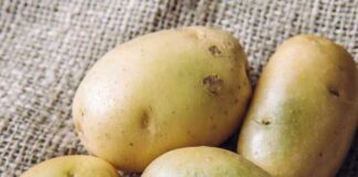 সবুজ আলু খেলে কী হয়?