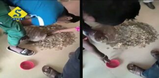 জমানো খুচরো নিয়ে মেয়ের স্কুটি কিনলেন চা দোকানি বাবা