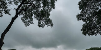 নিম্নচাপ, দক্ষিণবঙ্গে বৃষ্টির পূর্বাভাস