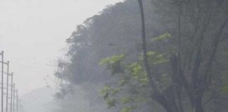 শীতের ঝোড়ো ব্যাটিং, উত্তুরে হাওয়ায় কাঁপছে বাংলা