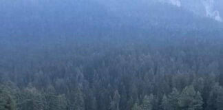 পহেলগাঁও-চার্জশিট পেশ হতেই পাকিস্তানকে বিঁধল দিল্লি