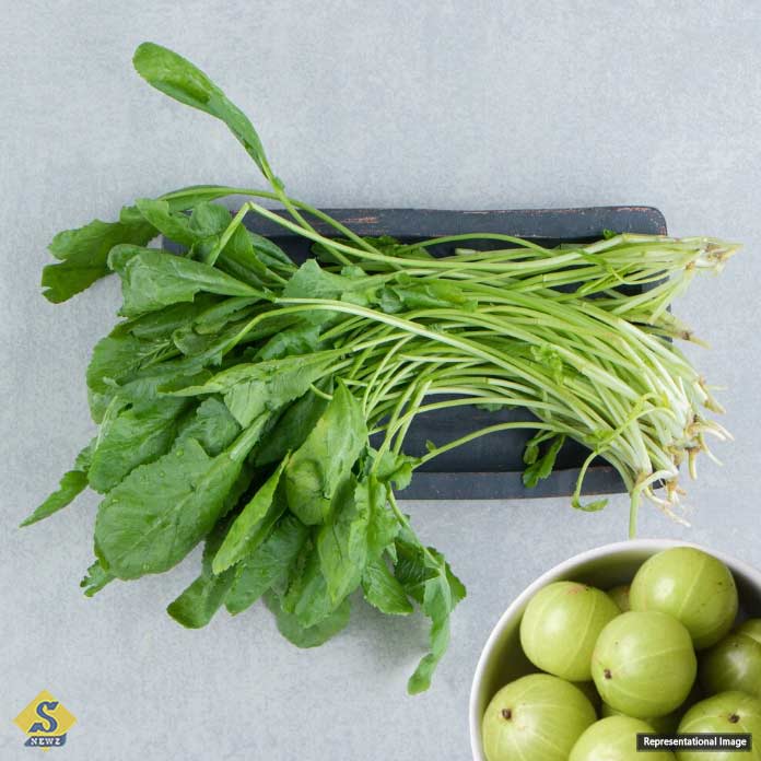 Foods-to-prevent-winter-diseases