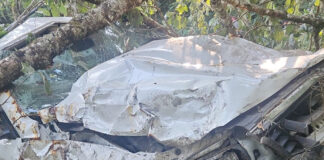 খাদে গাড়ি, সিটংয়ে পঞ্চায়েত সদস্য সহ মৃত ৩!