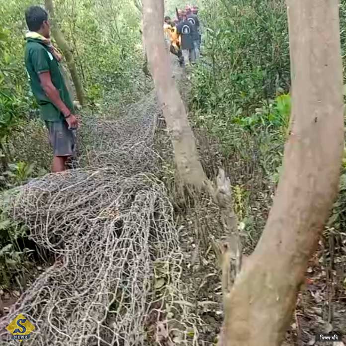সুন্দরবনের পাথরপ্রতিমায় ফের বাঘের আতঙ্ক!