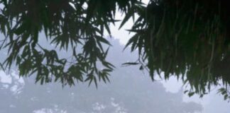 রাজ্যজুড়ে আরও পারদ পতনের আভাস