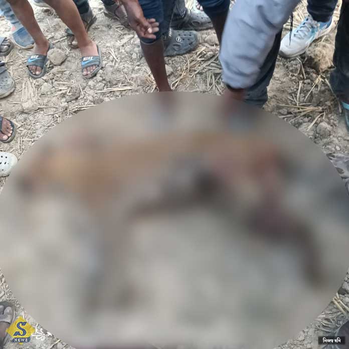 Seven-people-bitten-in-a-residential-area!-Leopard-beaten-to-death