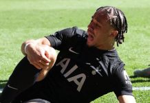 বিশ্বকাপ থেকে ছিটকে গেলেন ডাচ মিডফিল্ডার