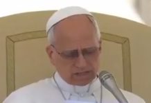 মানুষকে পথে আনার বার্তা দিলেন পোপ লিও চতুর্দশ