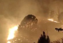 রুদ্রপ্রয়াগের জঙ্গলে বিধ্বংসী দাবানল