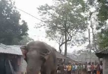 ভোটের লাইনে ‘রামলাল, শোরগোল ঝাড়গ্রামে