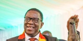 ১৩৭ বছর পর ফিরল জিম্বাবুয়ের ‘পাখি’