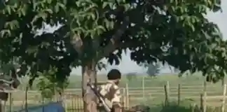 বিএসএফকে জমি দেওয়ার ঘোষণায় খুশি সীমান্তের মানুষজন