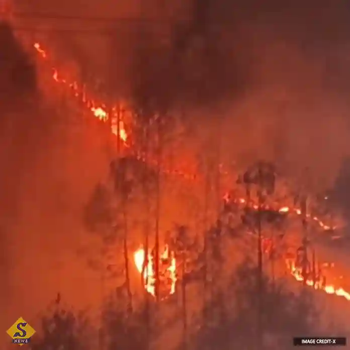 Forests-burnt-to-ashes-in-fierce-fire-in-Uttarakhand
