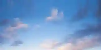 আটলান্টিকে হান্টাভাইরাসে ৩ জনের মৃত্যু!