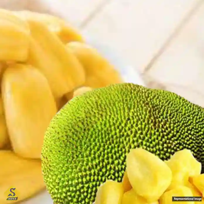 Jackfruit-to-reduce-high-blood-pressure