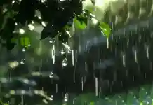 স্বস্তির বৃষ্টি দক্ষিণবঙ্গে